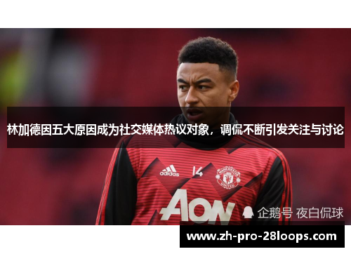 林加德因五大原因成为社交媒体热议对象,调侃不断引发关注与讨论 林加德因五大原因成为社交媒体热议对象,调侃不断引发关注与讨论