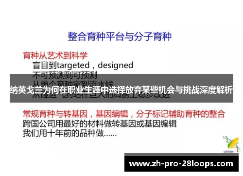纳英戈兰为何在职业生涯中选择放弃某些机会与挑战深度解析